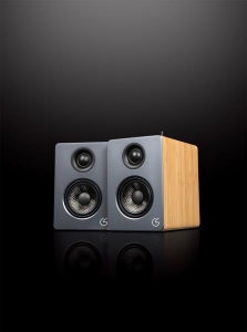 スピーカー・ウーファー CELSUS SOUND SP-ONE フューレンコーディネート CELSUS SOUNDのスピーカー「Celsus SP